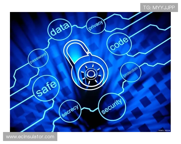 PA视讯官网的安全保障措施与用户隐私保护策略