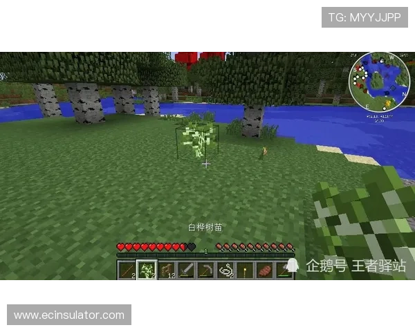 2026年真人滚球官方地址全新上线，提供最优质的游戏环境与服务保障