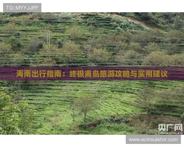 云顶赌场攻略：如何合理管理资金实现长久盈利的实用建议