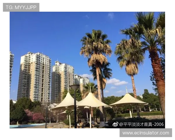真人注册评测：注册过程中常见问题及解决方案详解